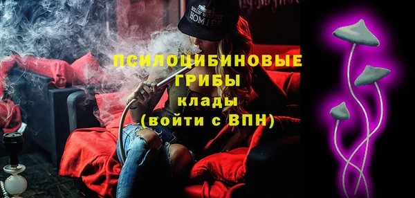 сатива Алексеевка